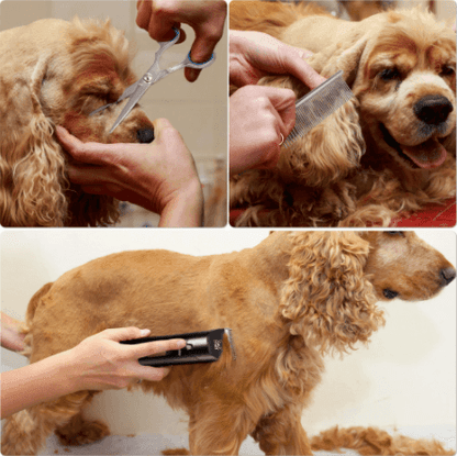 HATTEKER Pet Hair Clipper Professional Rechargeable Grooming Cutters for Animal Barber Scissors SK691