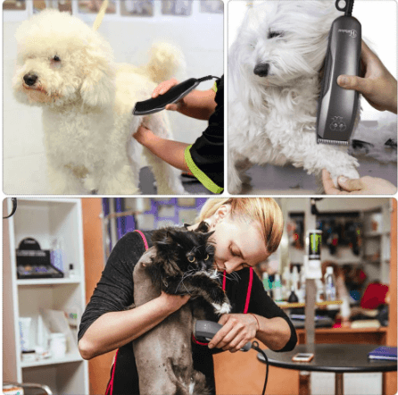 HATTEKER pet hair clipper Dog Cat Hair Trimmer Animal